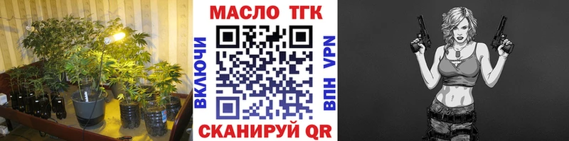 Купить где  Юрьев-Польский  ТГК Wax 