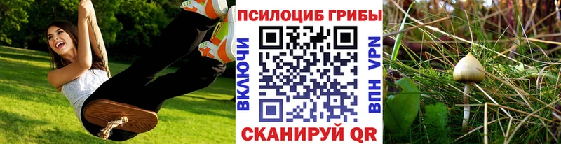 Псилоцибиновые грибы GOLDEN TEACHER  Купить  Юрьев-Польский 